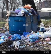 Best Yard Waste Removal  in Marine City, MI